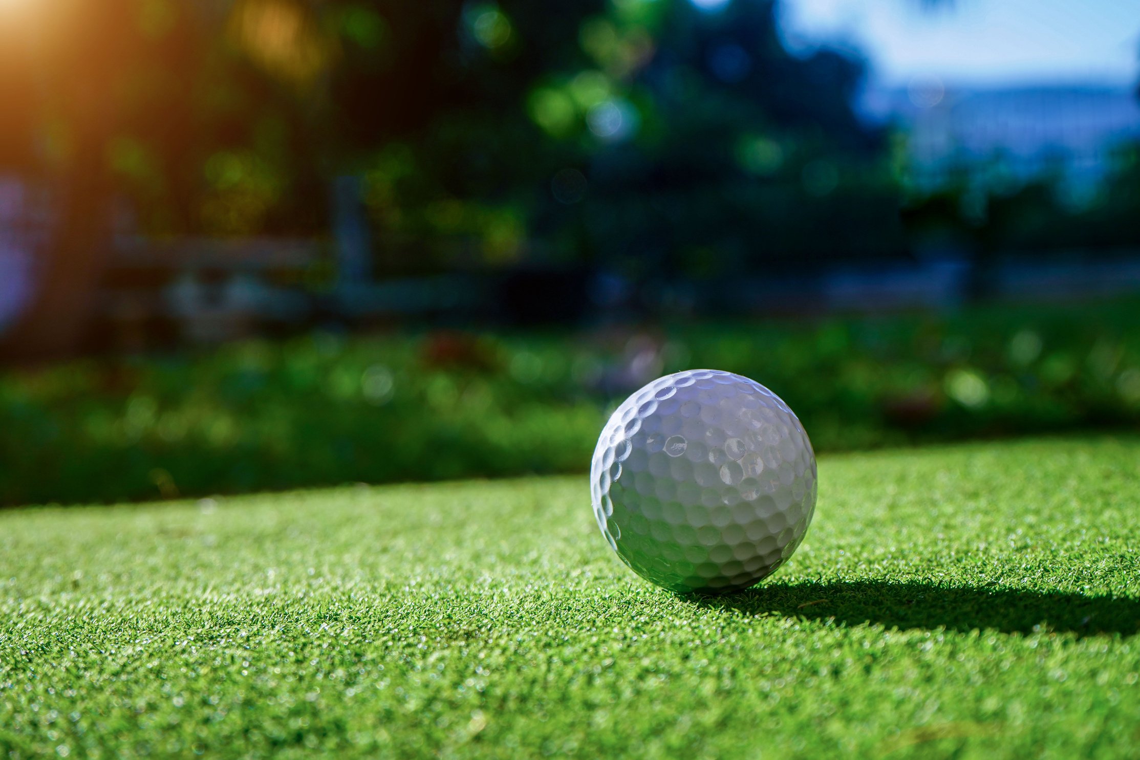 Golf Ball On A Green Surface